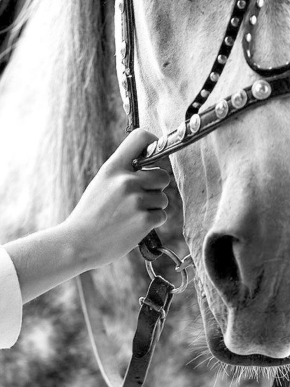 ⭐️YOU are in our WESTERN SECTION ⭐️